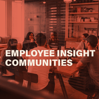 Employee Insight Communities