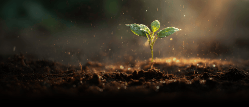 Traditional UX Ends and the Rebirth Begins