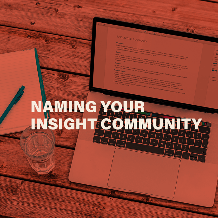 Naming Your Insight Community