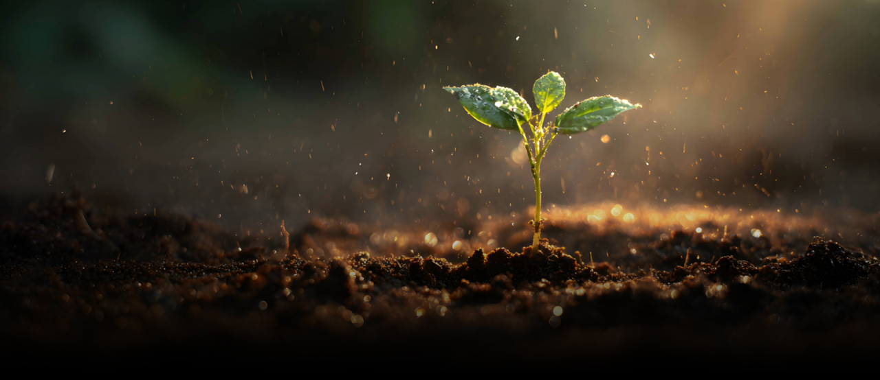 Traditional UX Ends and the Rebirth Begins